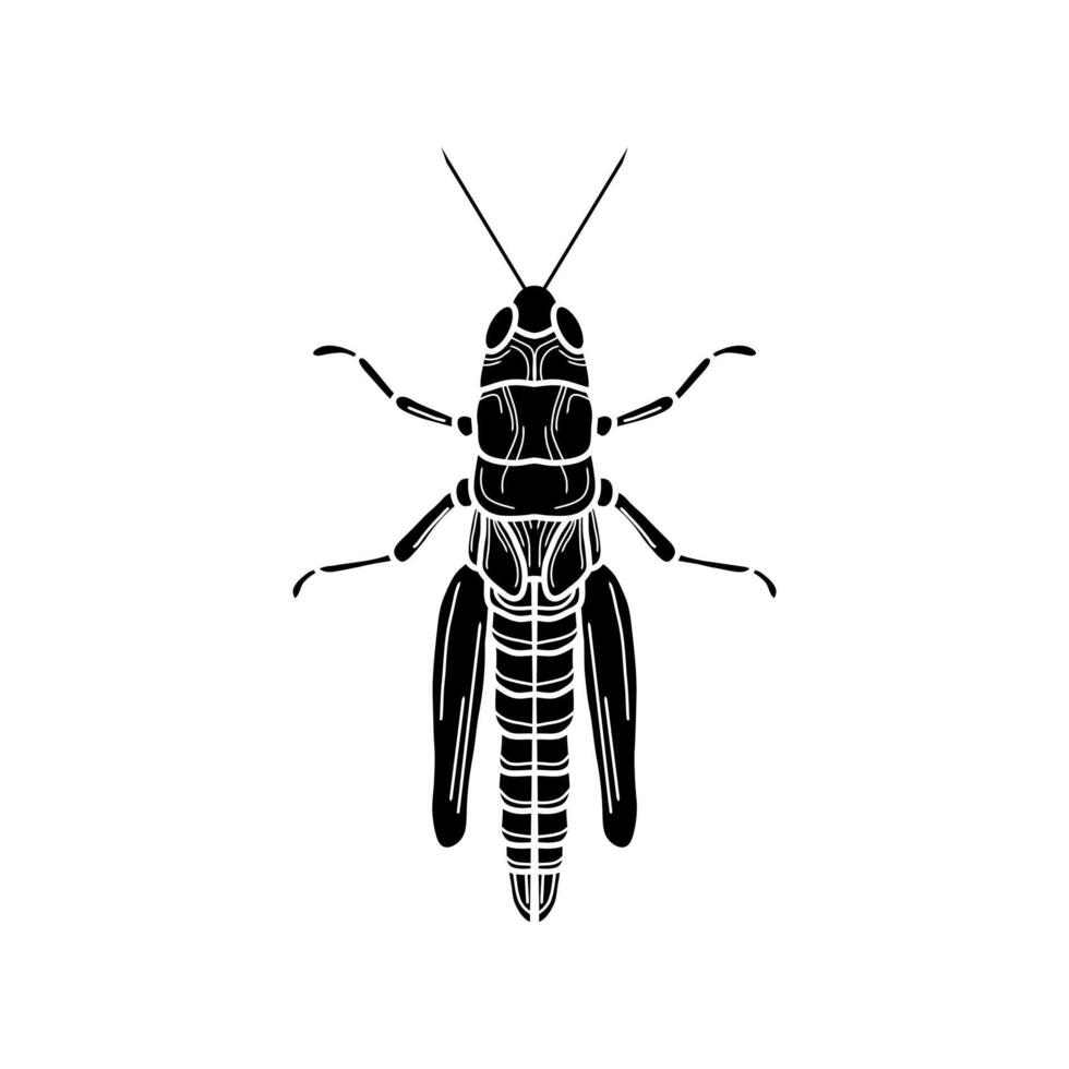 grasshopper black and white illustration. mantis or cricket, insect concept, thin line symbol on white background vector
