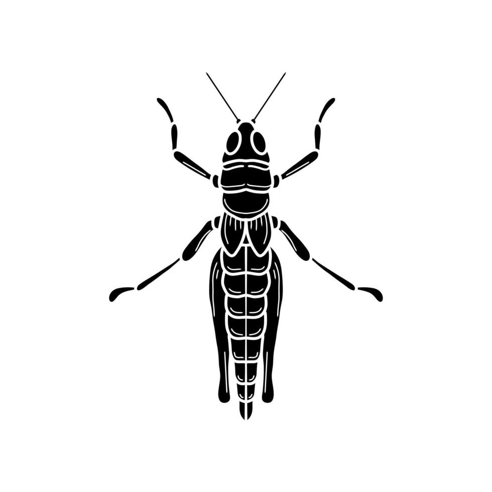 grasshopper black and white illustration. mantis or cricket, insect concept, thin line symbol on white background vector