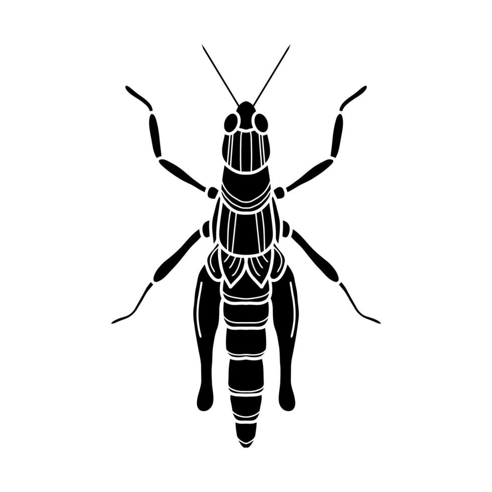 grasshopper black and white illustration. mantis or cricket, insect concept, thin line symbol on white background vector