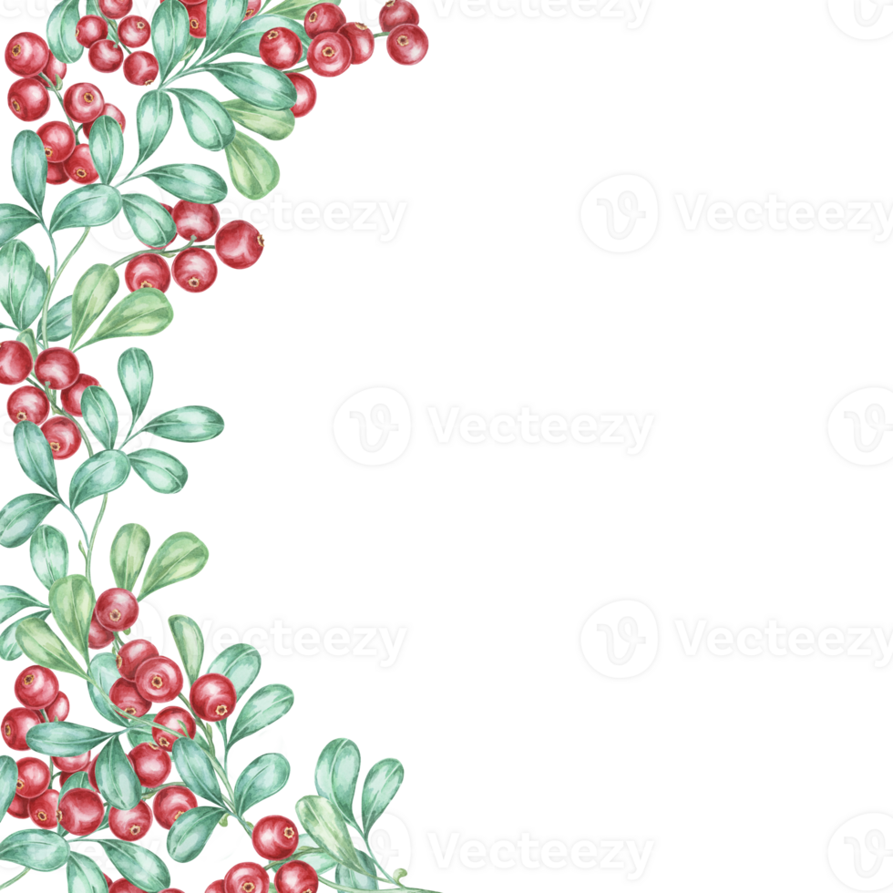 Red berries watercolor with clusters of vibrant cranberries and green leaves arranged in a corner frame. Use this clipart for festive stationery, digital scrapbooking, and holiday decorations png