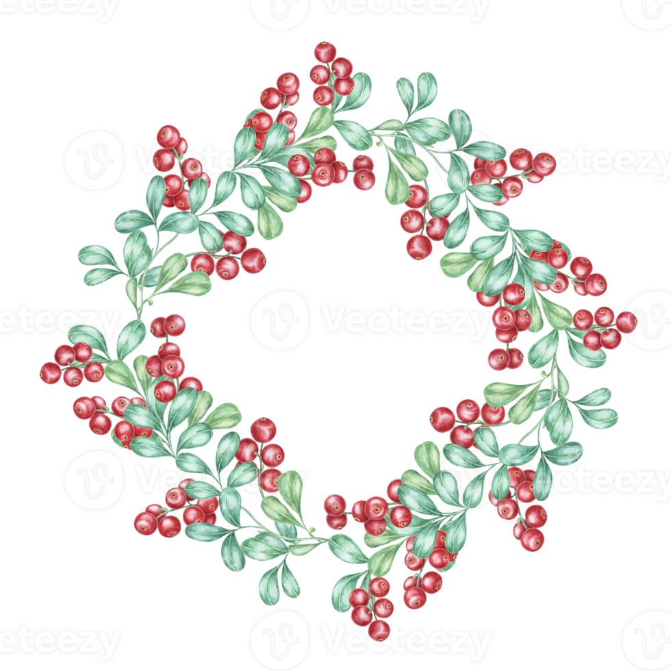 Cowberry watercolor clipart frame showcasing lush green leaves and bright red berries in a circular border. Ideal for Christmas cards, holiday decor, and seasonal event invitations png
