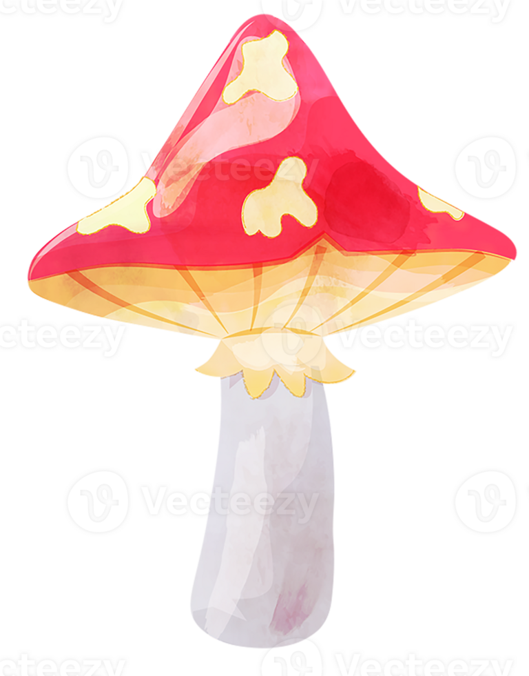 Red amanita mushroom png