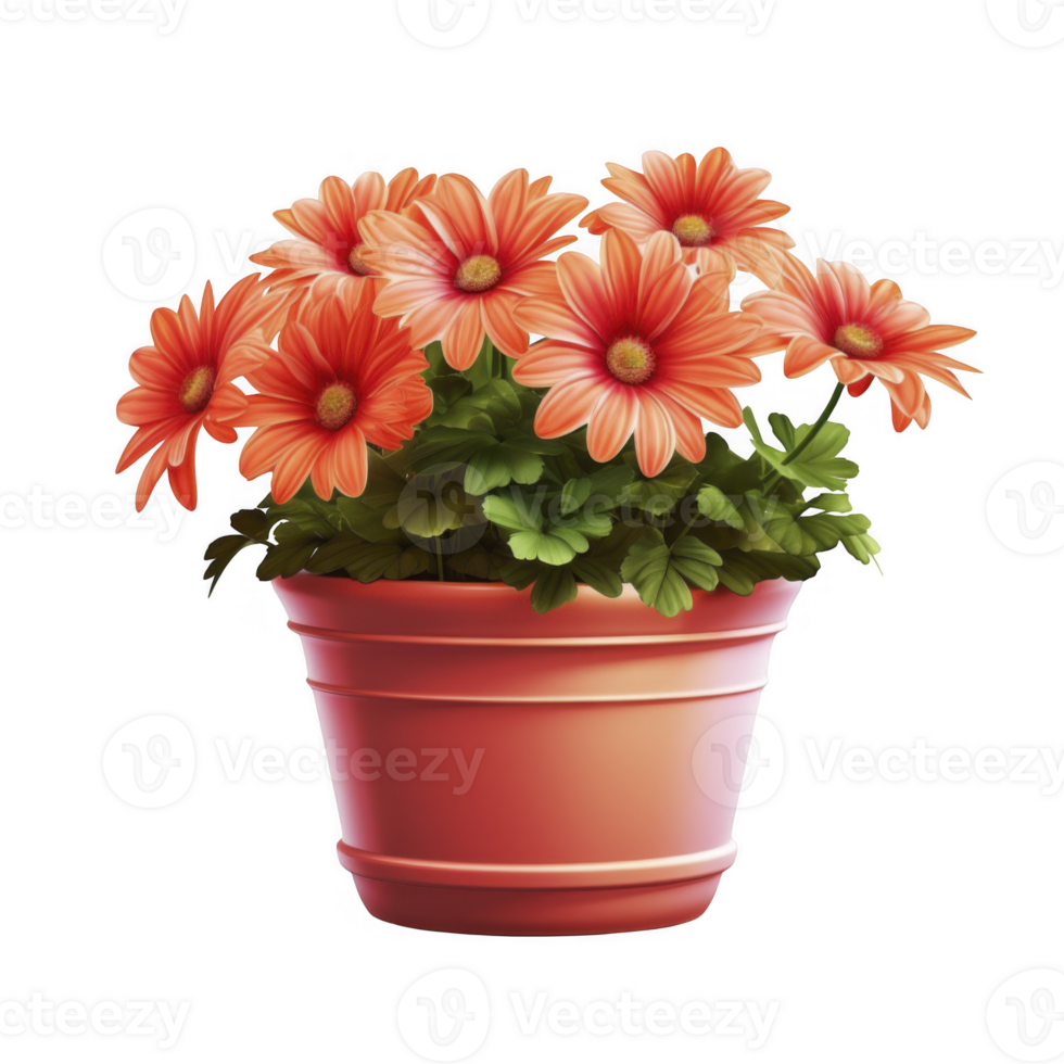 Flower pot on transparent background png
