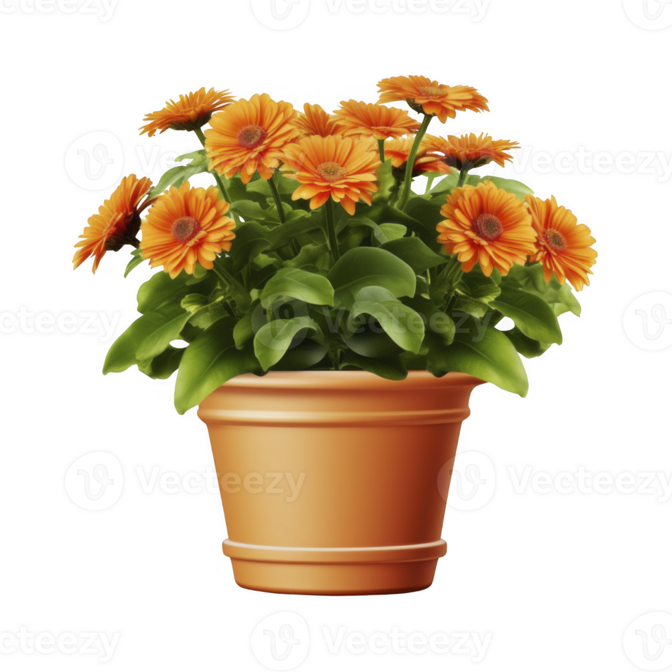 Flower pot on transparent background png