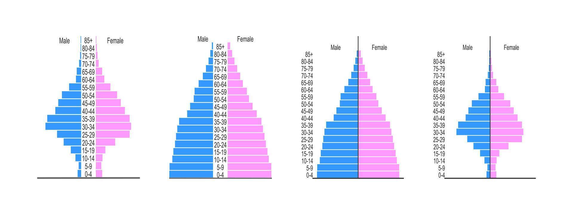 Set of population pyramids. Age structure diagram templates. Examples of population distribution by male and female groups with different age. vector