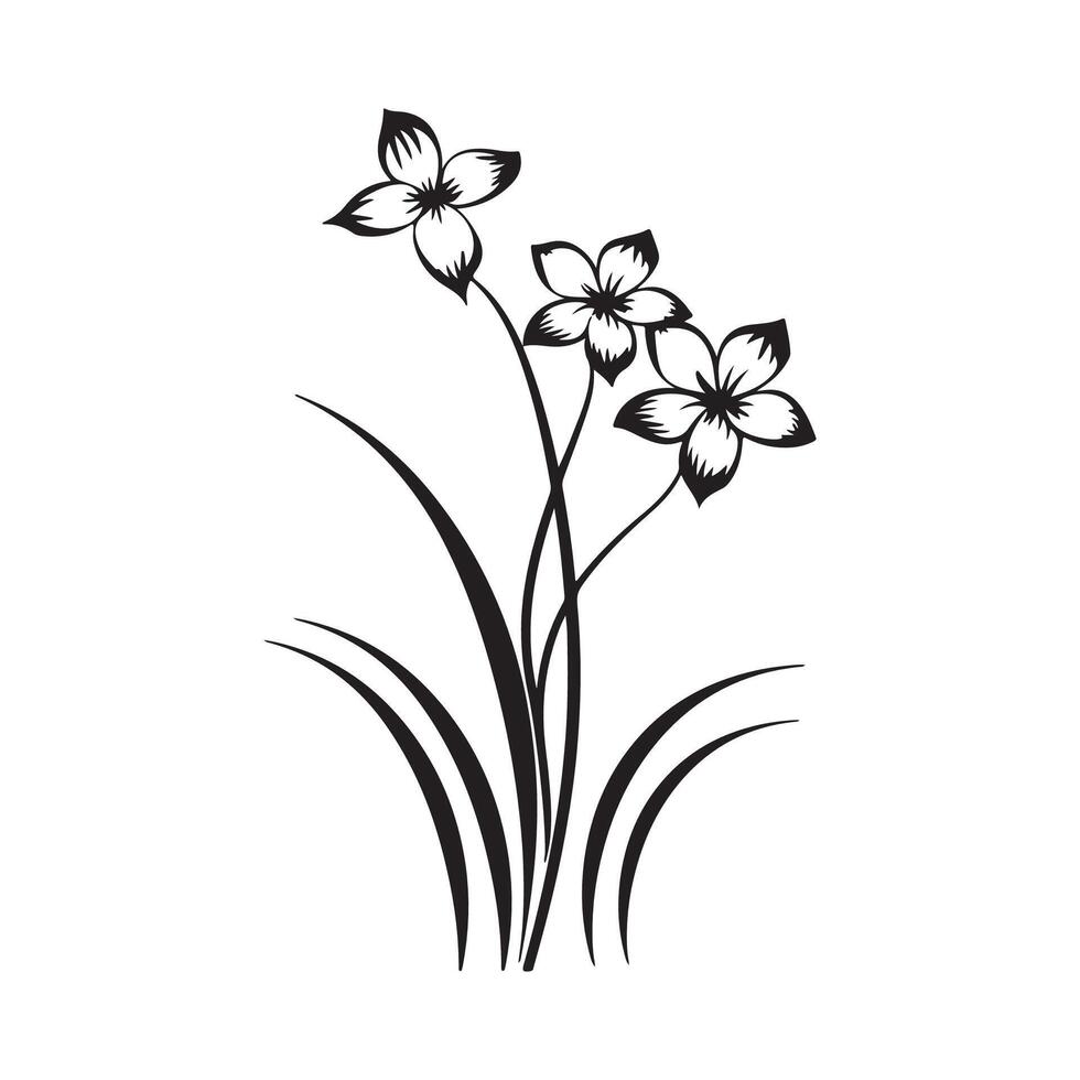 Daffodil Flower Isolated White Background Stock Illustrations, vector