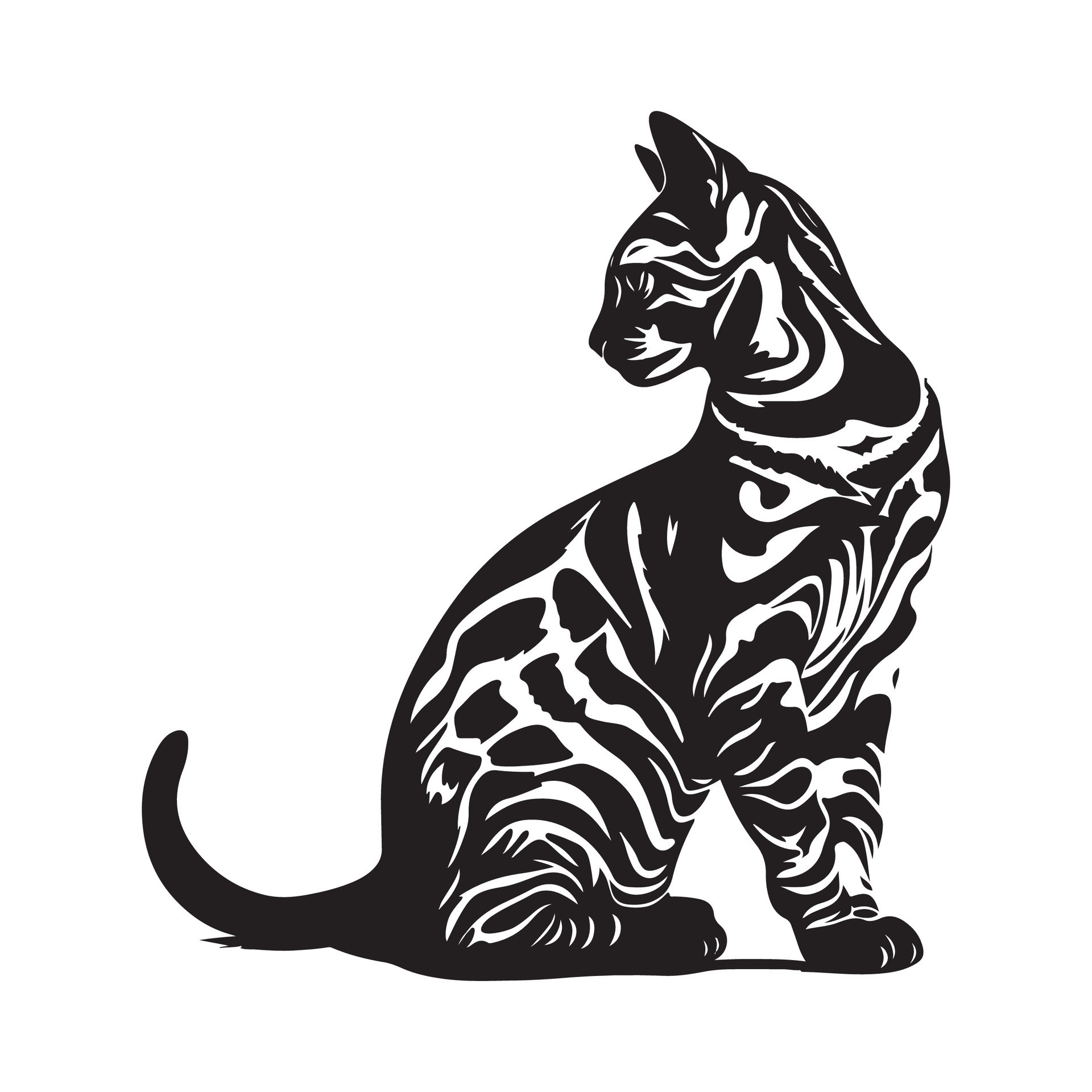 Bengal Cat image. Black and white Bengal Cat isolated on white