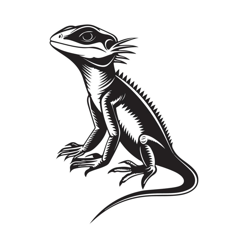Lizard drawing Stock design. Illustration of a Lizard isolated on white vector