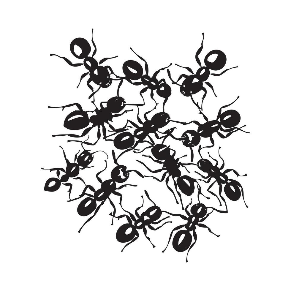 Colony ants on a white background insect pests design Image vector