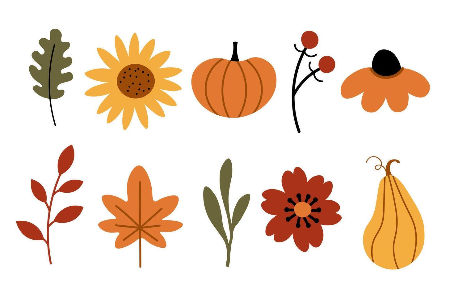 Illustrations of autumn cartoon objects, sunflower, maple leaf, rowan, oak leaf, vegetables, harvest, plants, pumpkin, fall flowers. Design elements for Thanksgiving Day, autumnal season, event vector