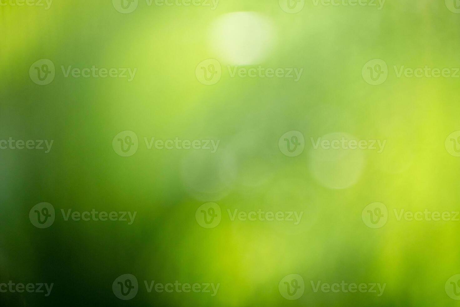 Abstract colorful nature gradient blurred background. Summer banner. Digital Grain Noise Texture overlay. Multicolor vintage retro design. Vibrant Texture Wallpaper,design,graphic and presentation photo