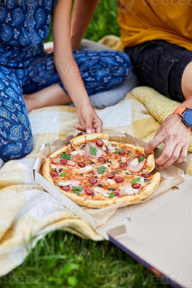 Family Sharing a Delicious Pizza During a Casual Outdoor Picnic photo