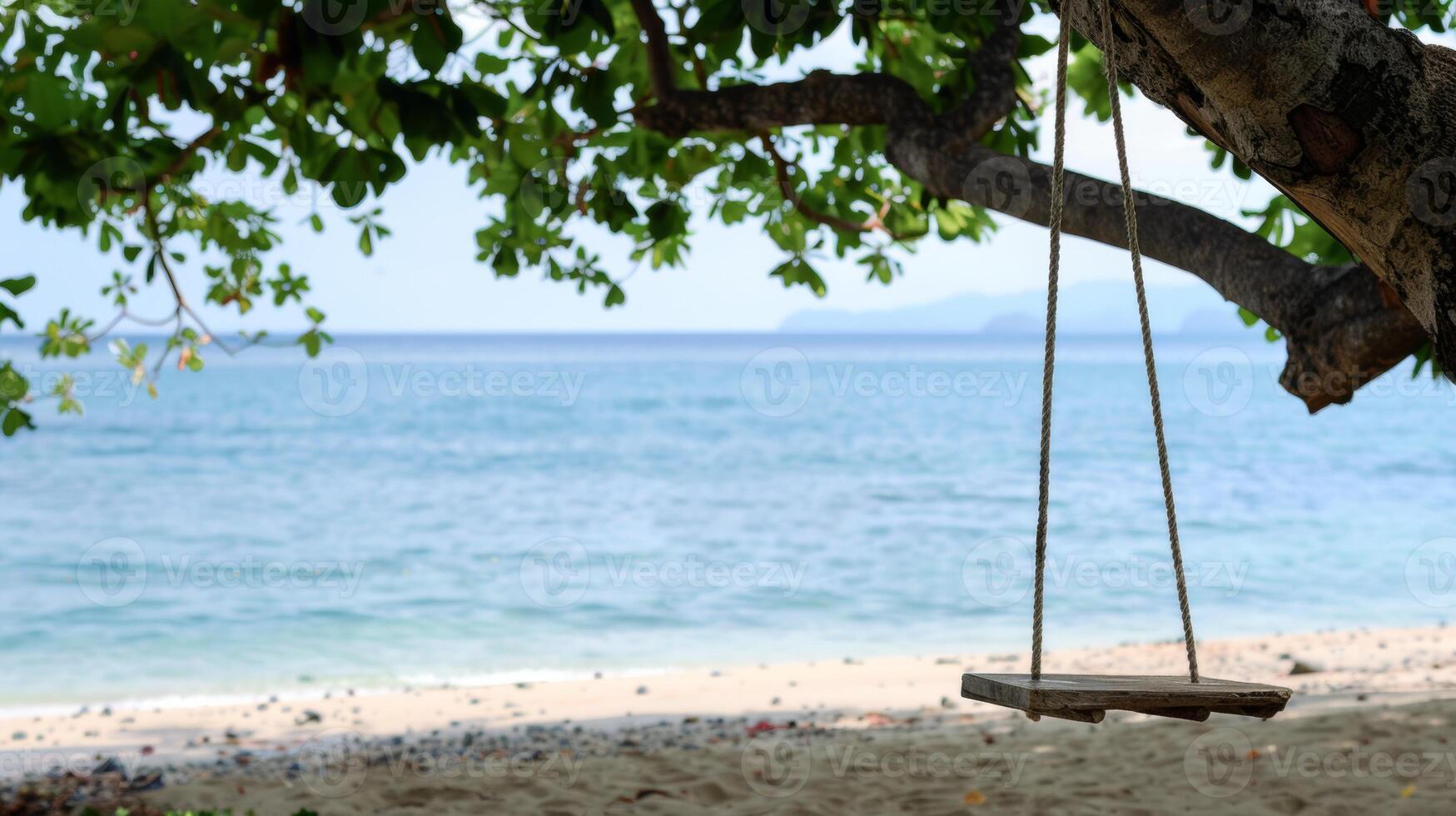 A wooden swing suspended from a tree branch overlooks the clear blue waters of a tropical beach on a sunny day. photo
