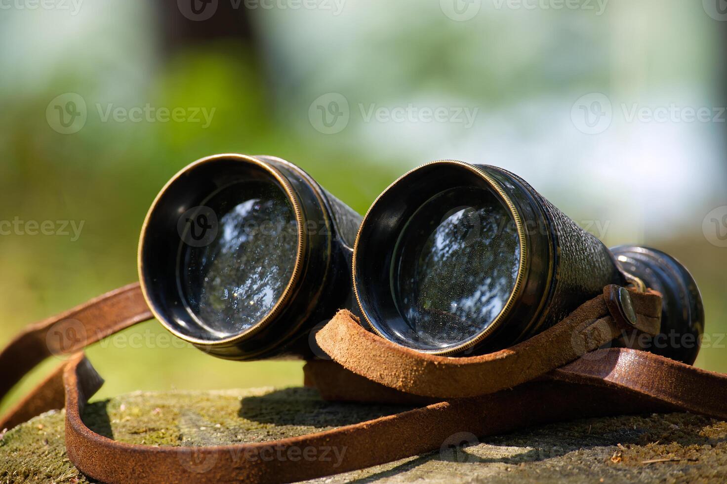 Vintage binoculars resting on a tree stump in a peaceful forest setting photo