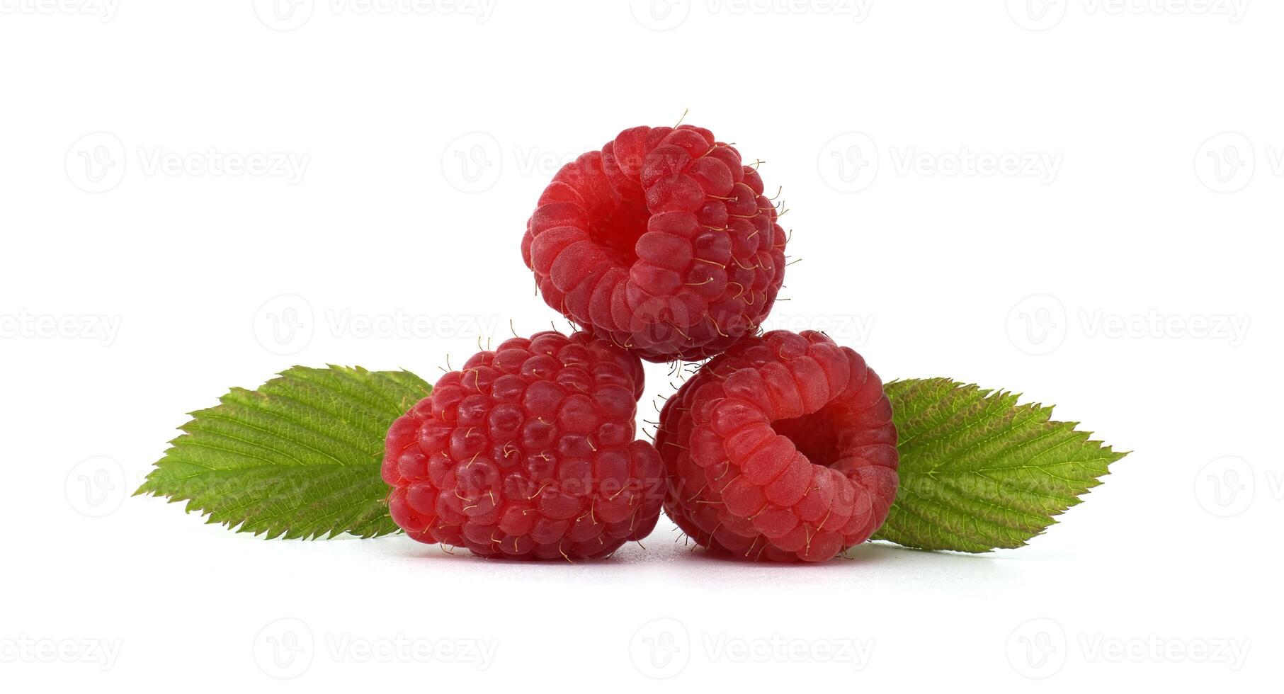 Fresh ripe raspberries with green leaves isolated on white background photo