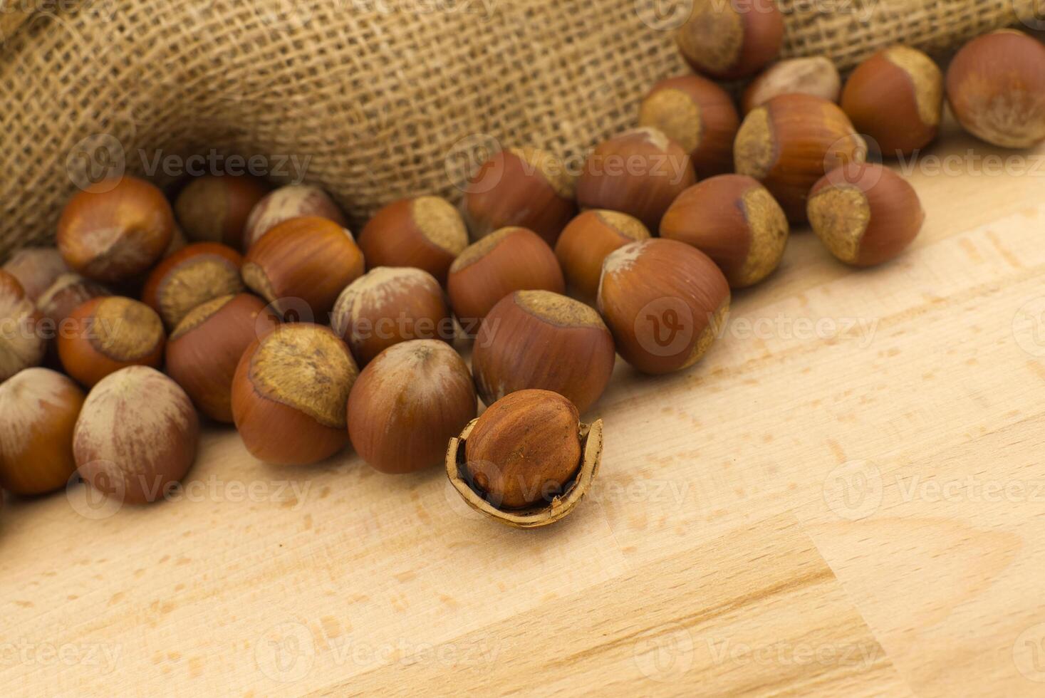Fresh unshielded hazelnuts beside the jute sack photo