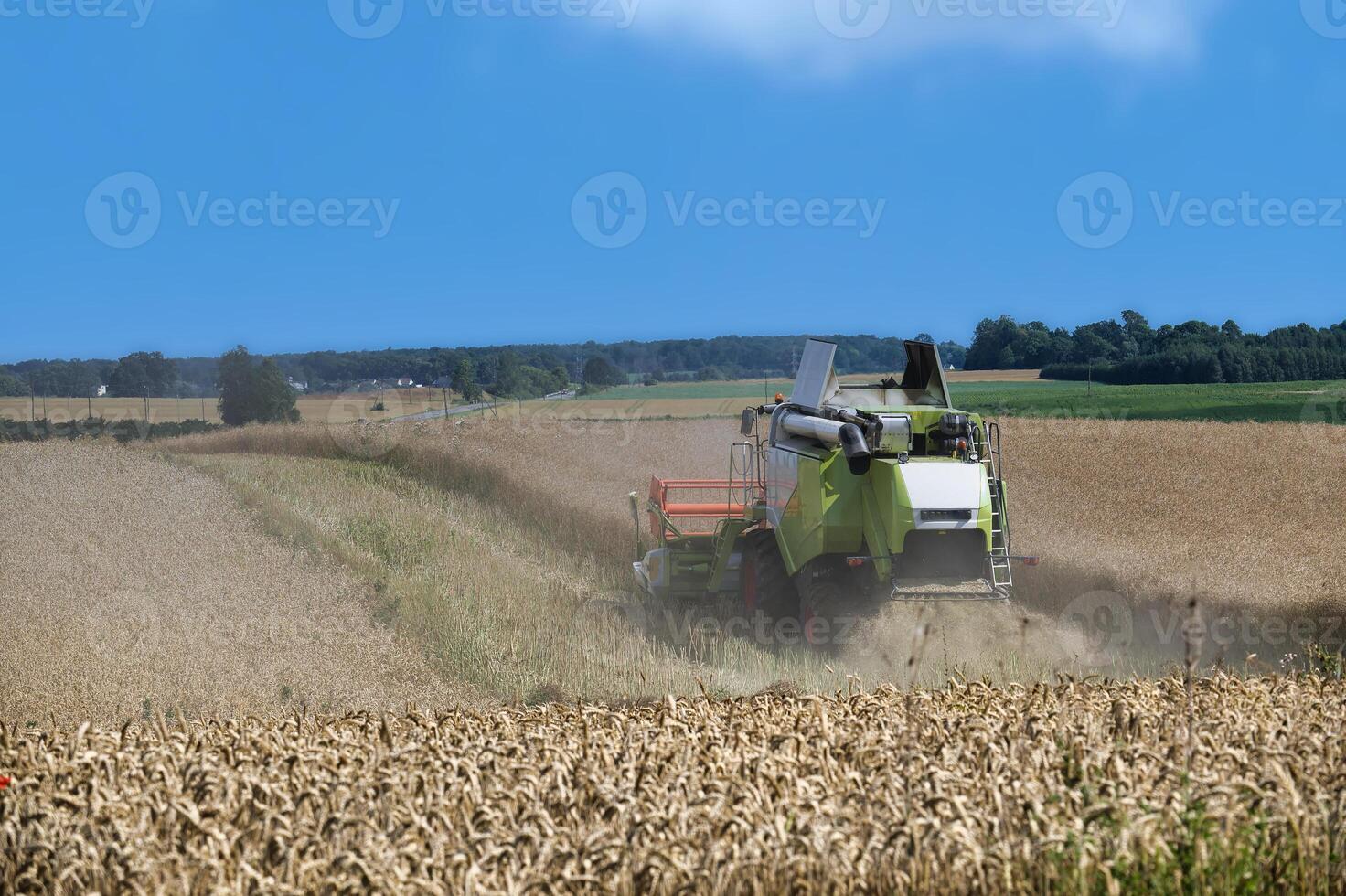 Modern combine harvester in action on a golden wheat field under a clear blue sky photo