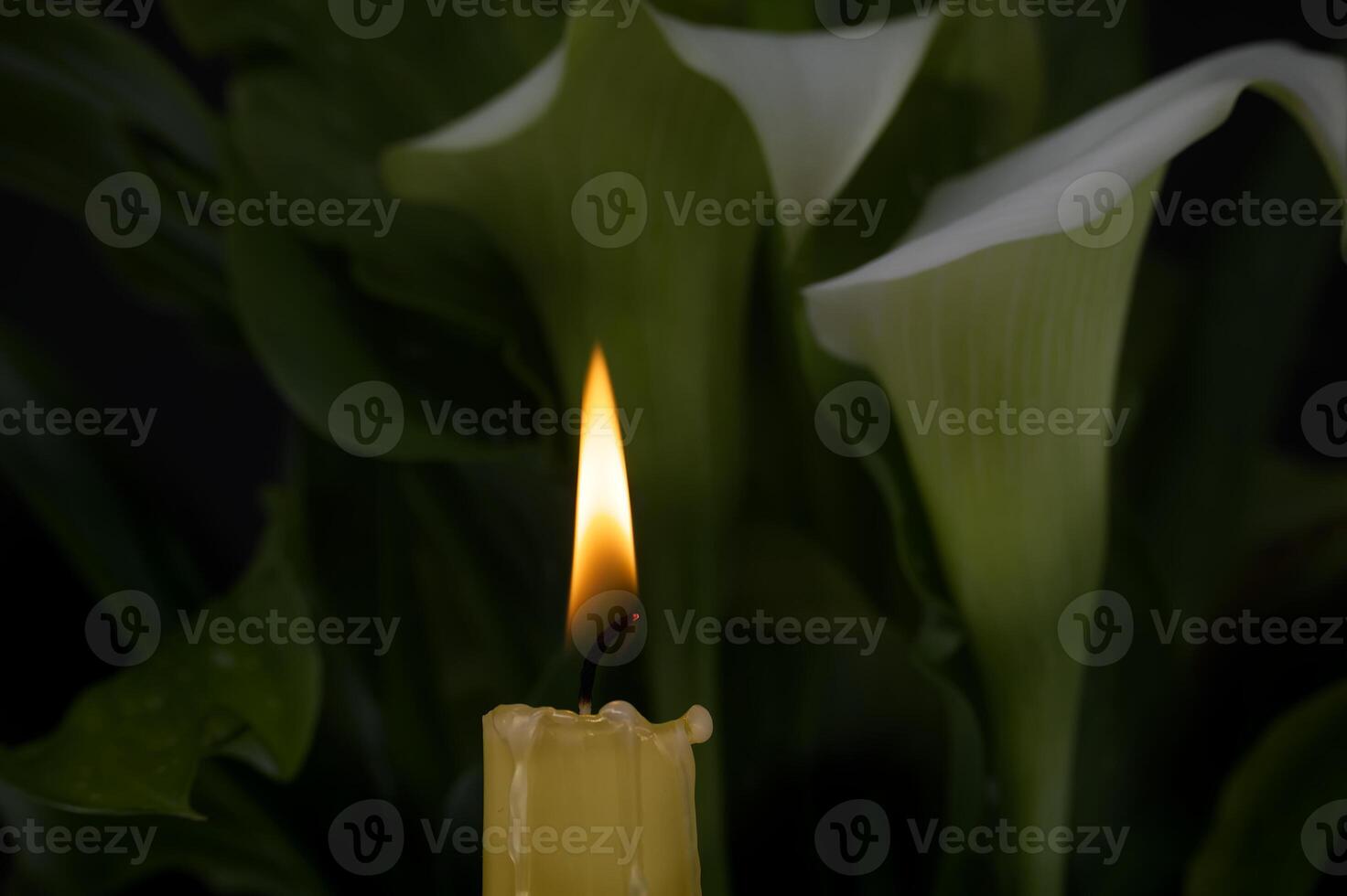 Burning wax candle and white calla lily flowers in darkness photo