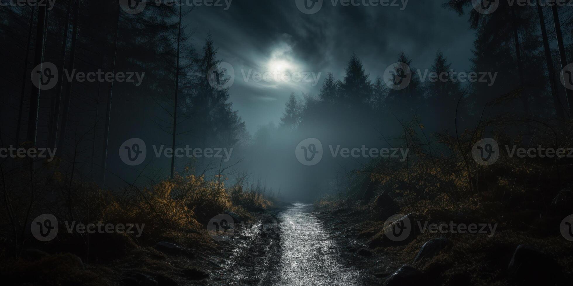 Moonlight Filtering Through Mist Of Silent Forest At Night. photo