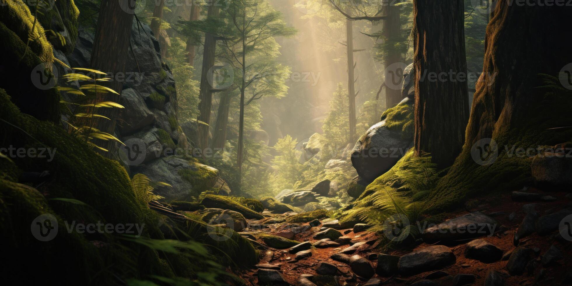 Mystical Forest Pathway In Morning Light. Mossy Forest Floor Among Ancient Trees With Sunbeams. photo
