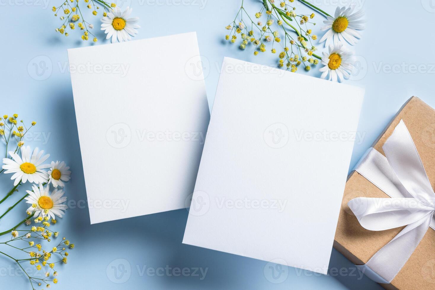 Empty blank cards and chamomile flowers photo