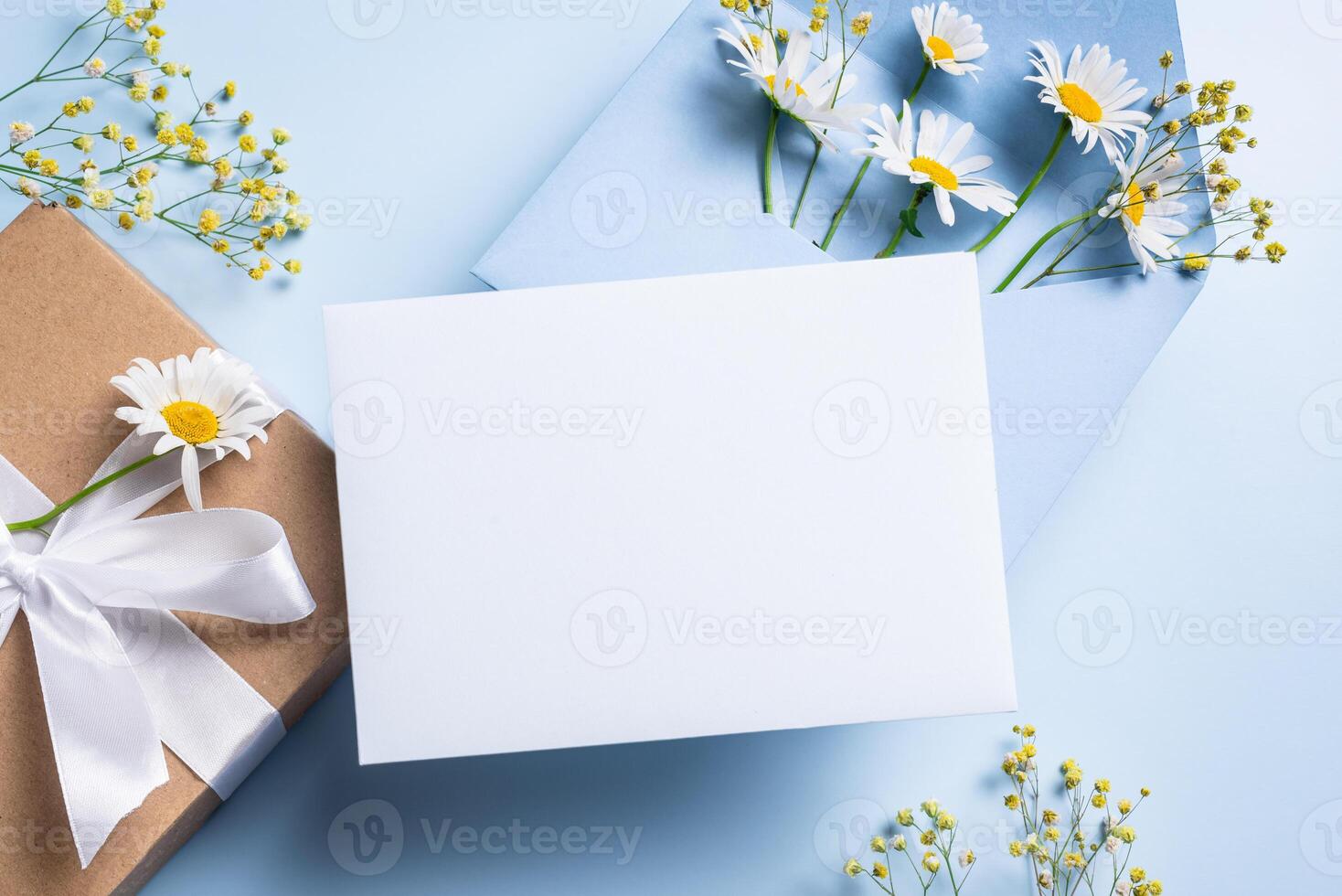 Empty blank card, gift box and chamomile flowers photo