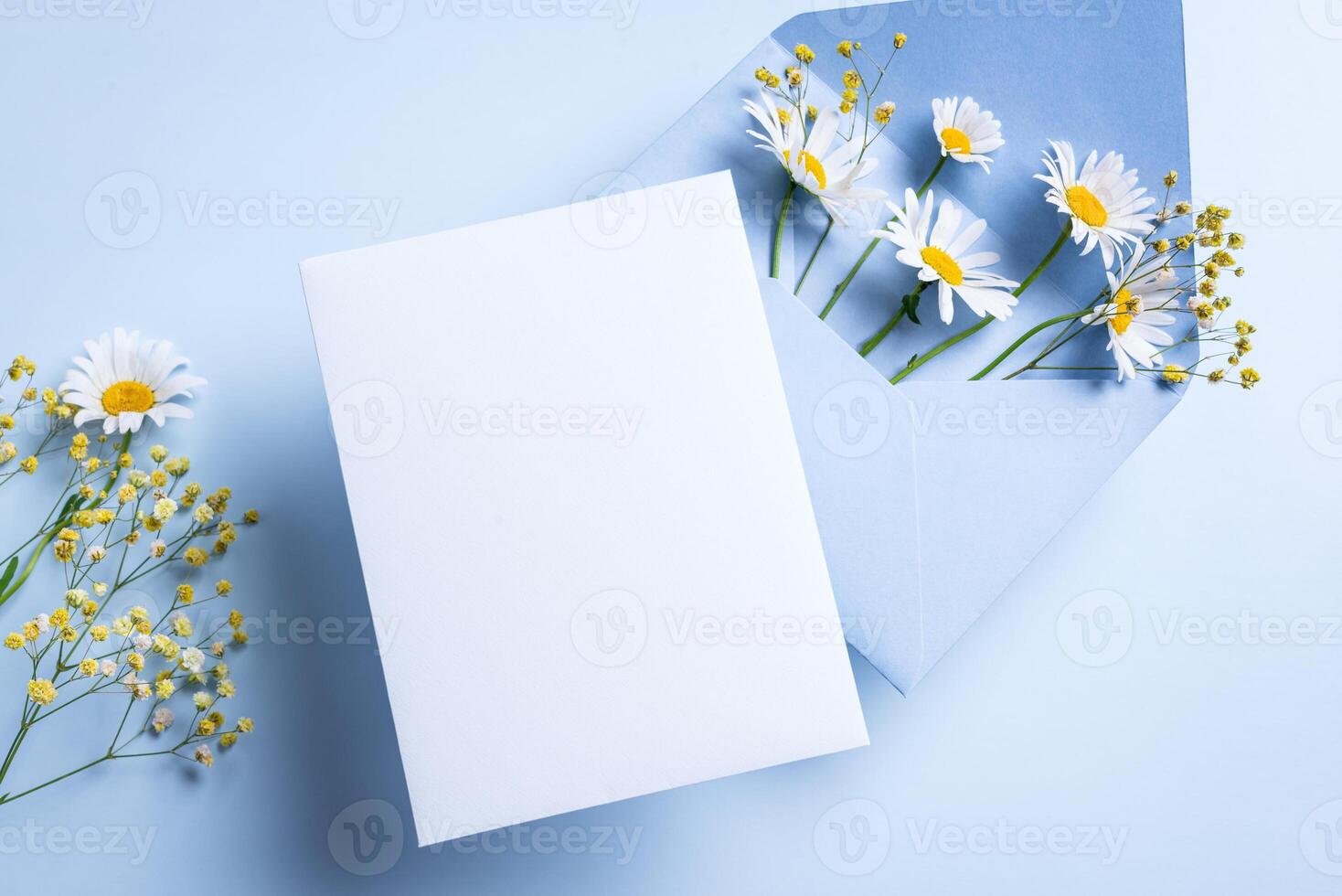 Empty blank card, envelope and chamomile flowers photo