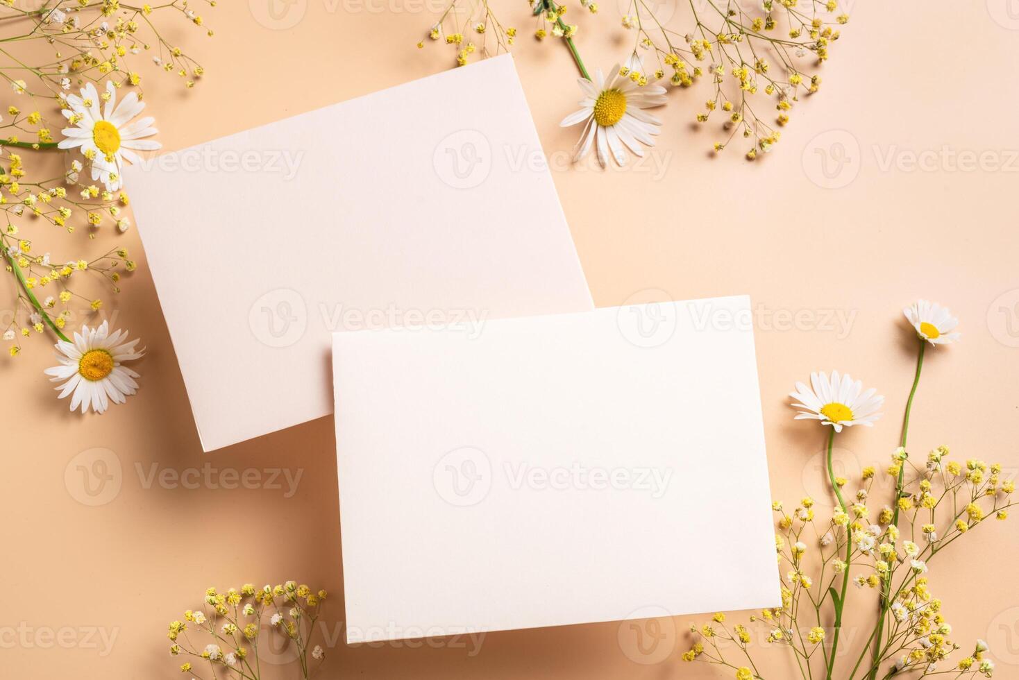 Empty blank cards and chamomile flowers photo