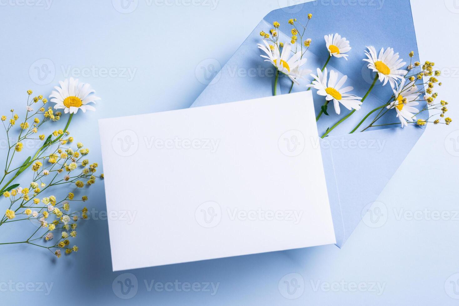 Empty blank card, blue envelope and chamomile flowers photo