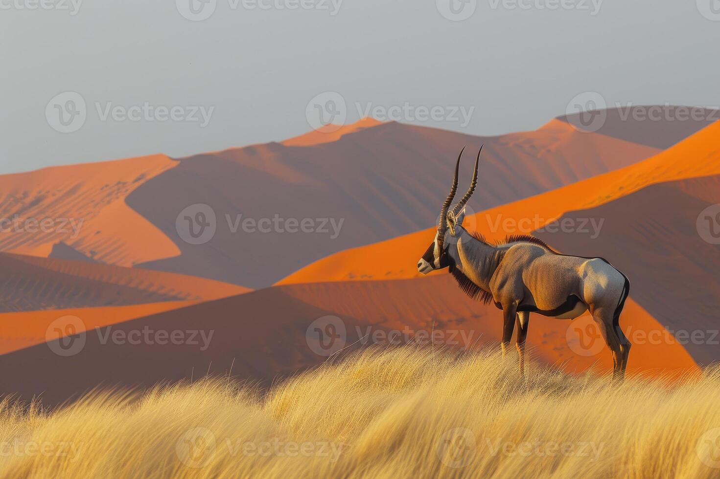 Lone antelope with long, elegant horns standing amidst the sprawling sand dunes of a vast desert, showcasing the raw beauty and serenity of nature. photo