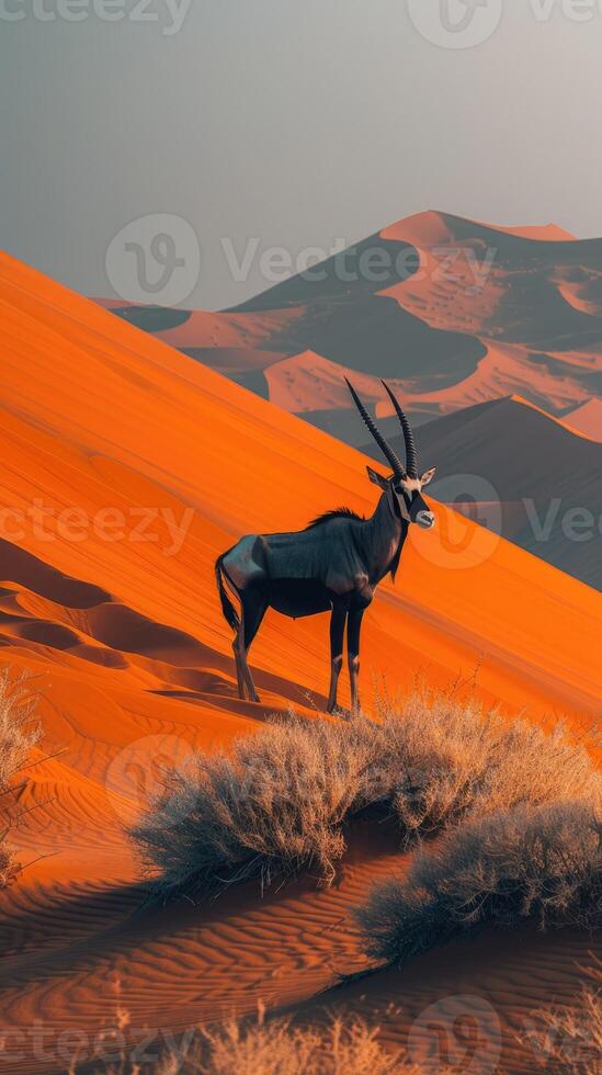 Lone antelope with long, elegant horns standing amidst the sprawling sand dunes of a vast desert, showcasing the raw beauty and serenity of nature. photo