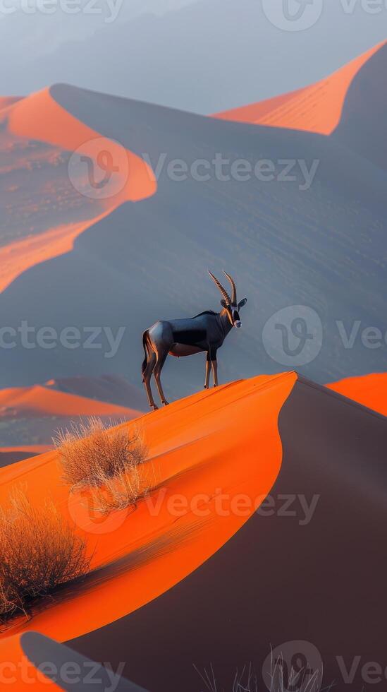 Lone antelope with long, elegant horns standing amidst the sprawling sand dunes of a vast desert, showcasing the raw beauty and serenity of nature. photo