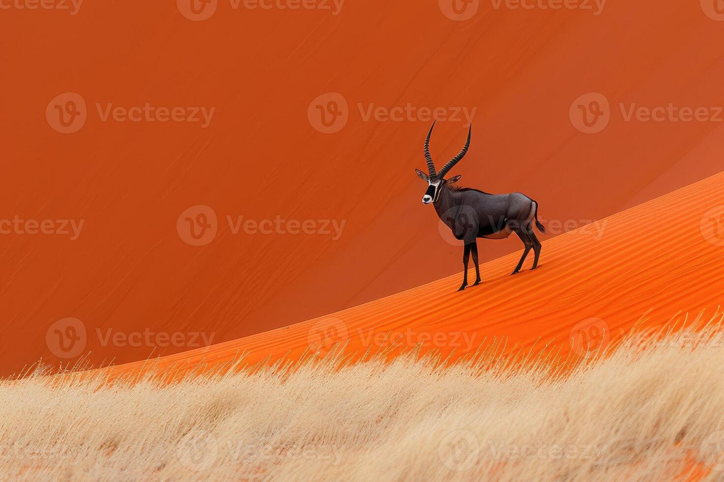 Lone antelope with long, elegant horns standing amidst the sprawling sand dunes of a vast desert, showcasing the raw beauty and serenity of nature. photo