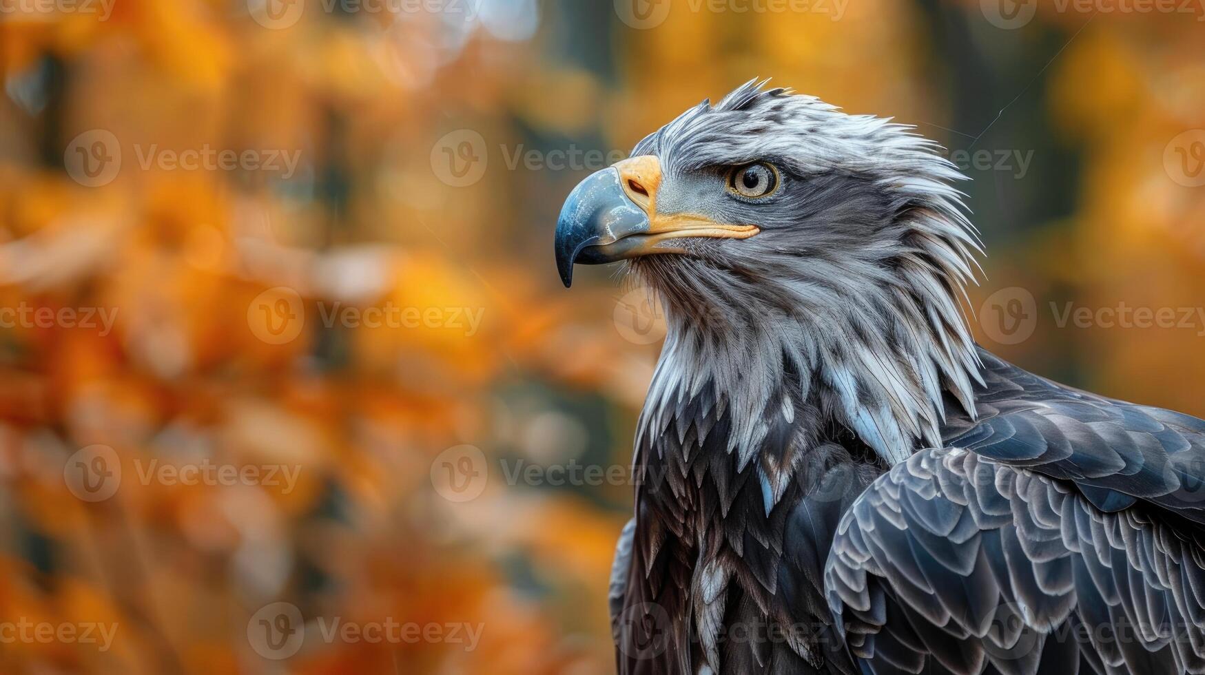 Majestic eagle symbolizing strength and vigilance. photo