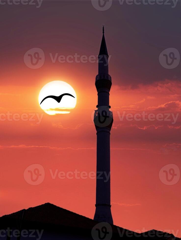 a bird flying in front of a sun with. Mosque minaret in the background photo