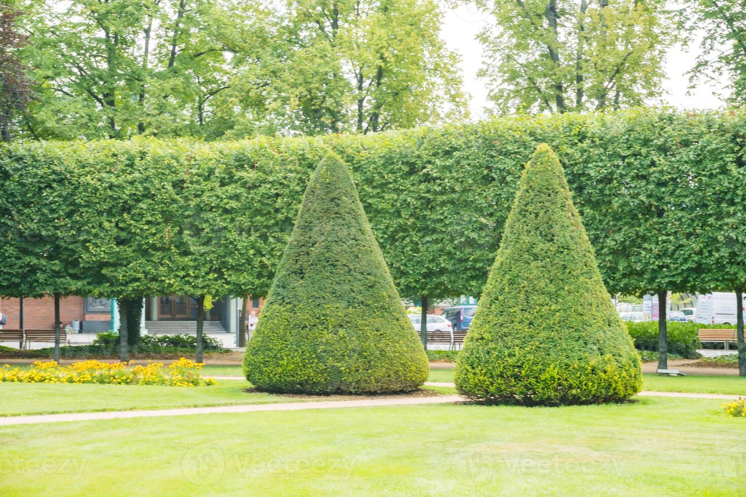 Castle garden with cone shaped trimmed trees in park promenade, Podebraty, Czech photo