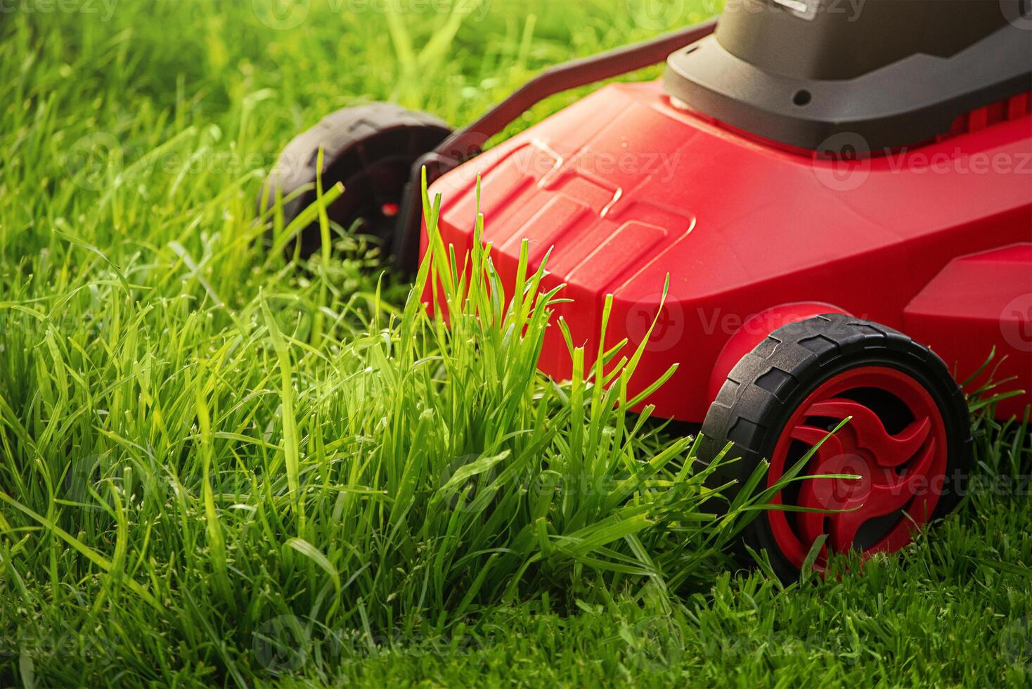 A red and black lawnmower on a background of green grass. photo