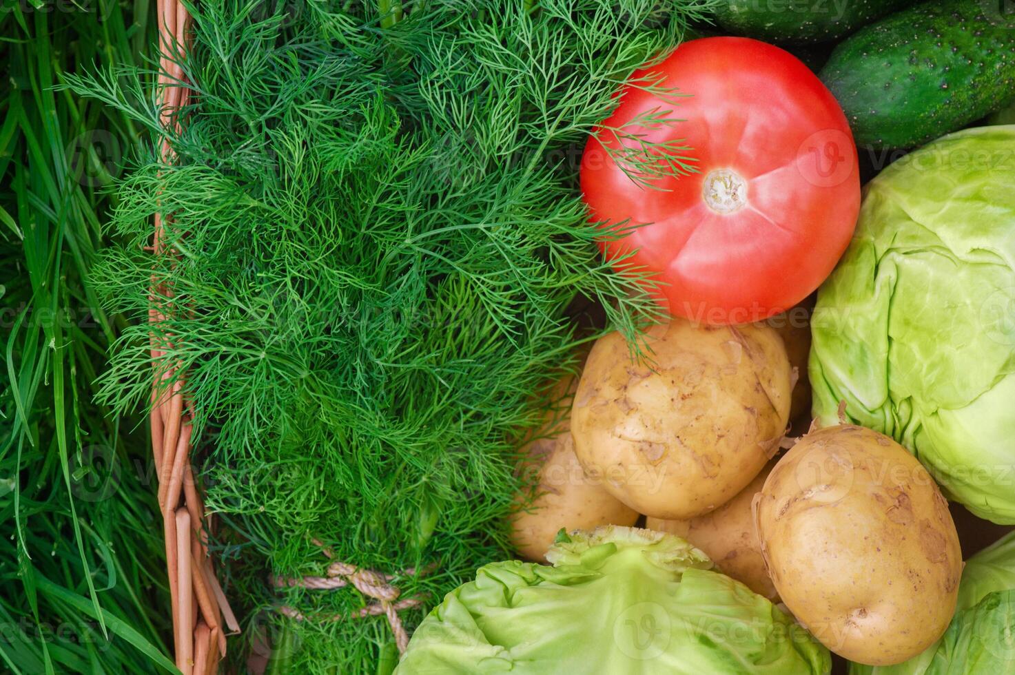 Vegetables and greens in a wicker box. Tomato, potato, cabbage and dill. photo