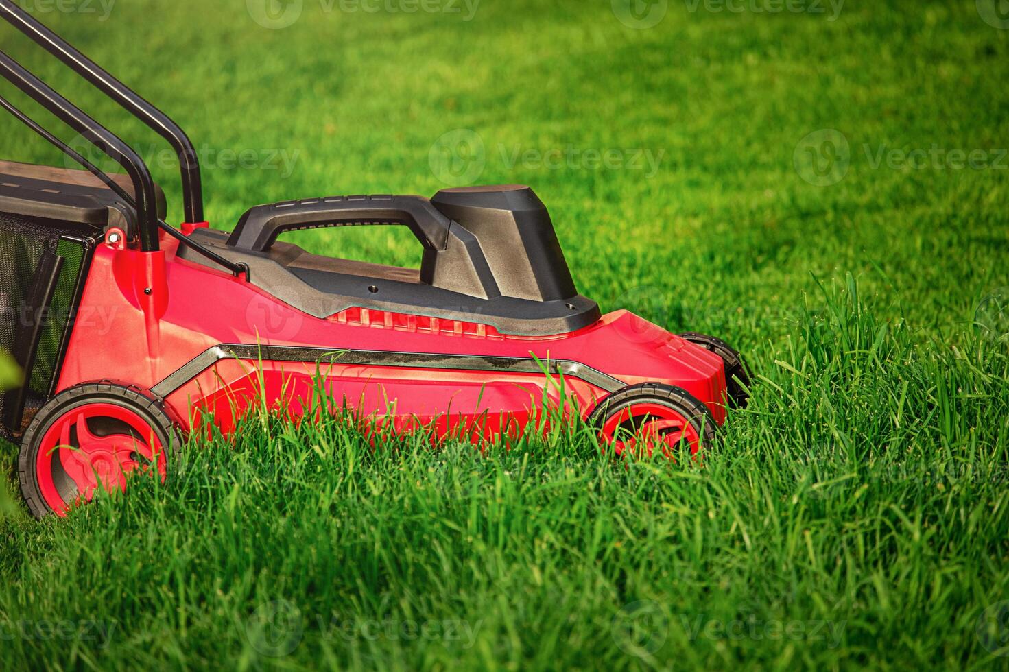 A red and black lawnmower on a background of green grass. photo