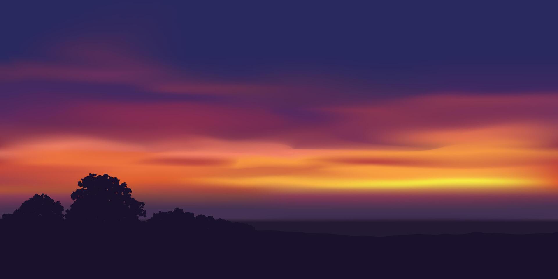Twilight skyafter sunset with trees in silhouette vector