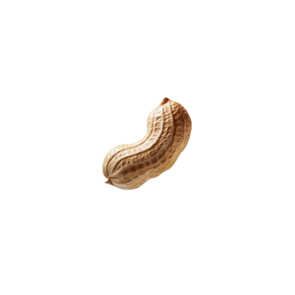 photo of shelled nuts with transparent background. It can be used as graphic design png