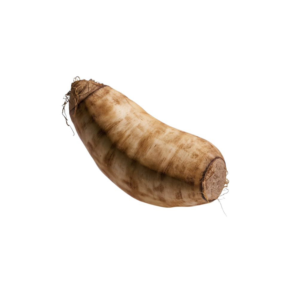 photo of cassava with a transparent background png