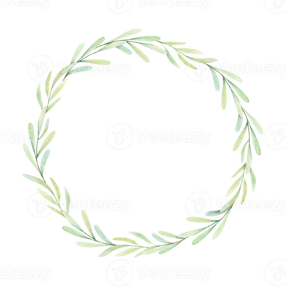 Watercolor Botanical illustration of olive leaves, branch wreath for wedding invitation and cards, logo design, web, social media and posters template. Elegant minimal style floral isolated. png