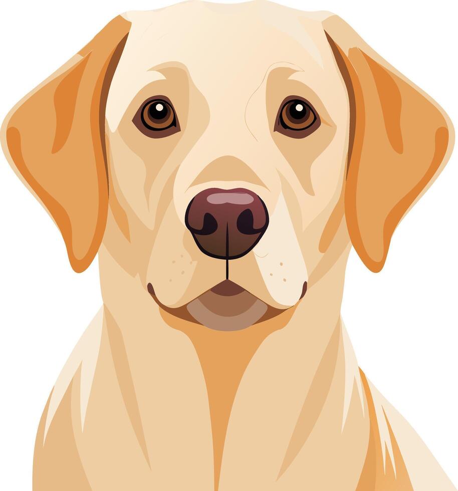 Labrador Retriever Dog style,Clipart , Illustration with white background vector