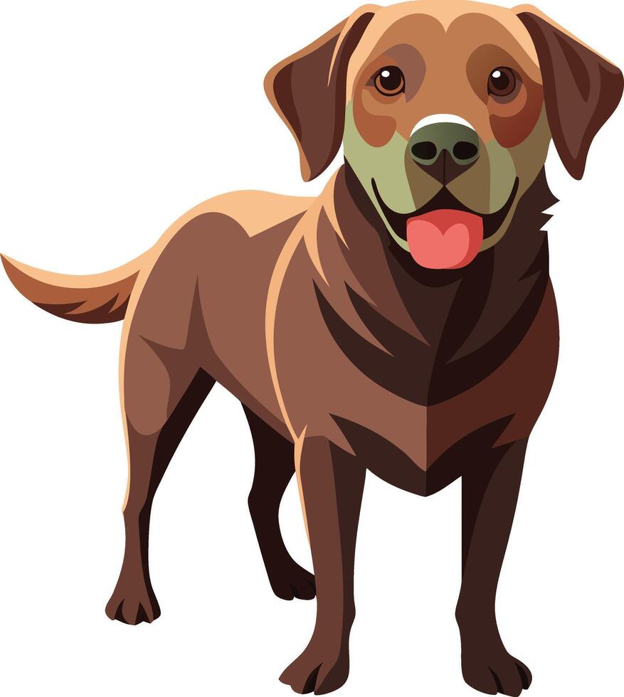 Labrador Retriever Dog style,Clipart , Illustration with white background vector