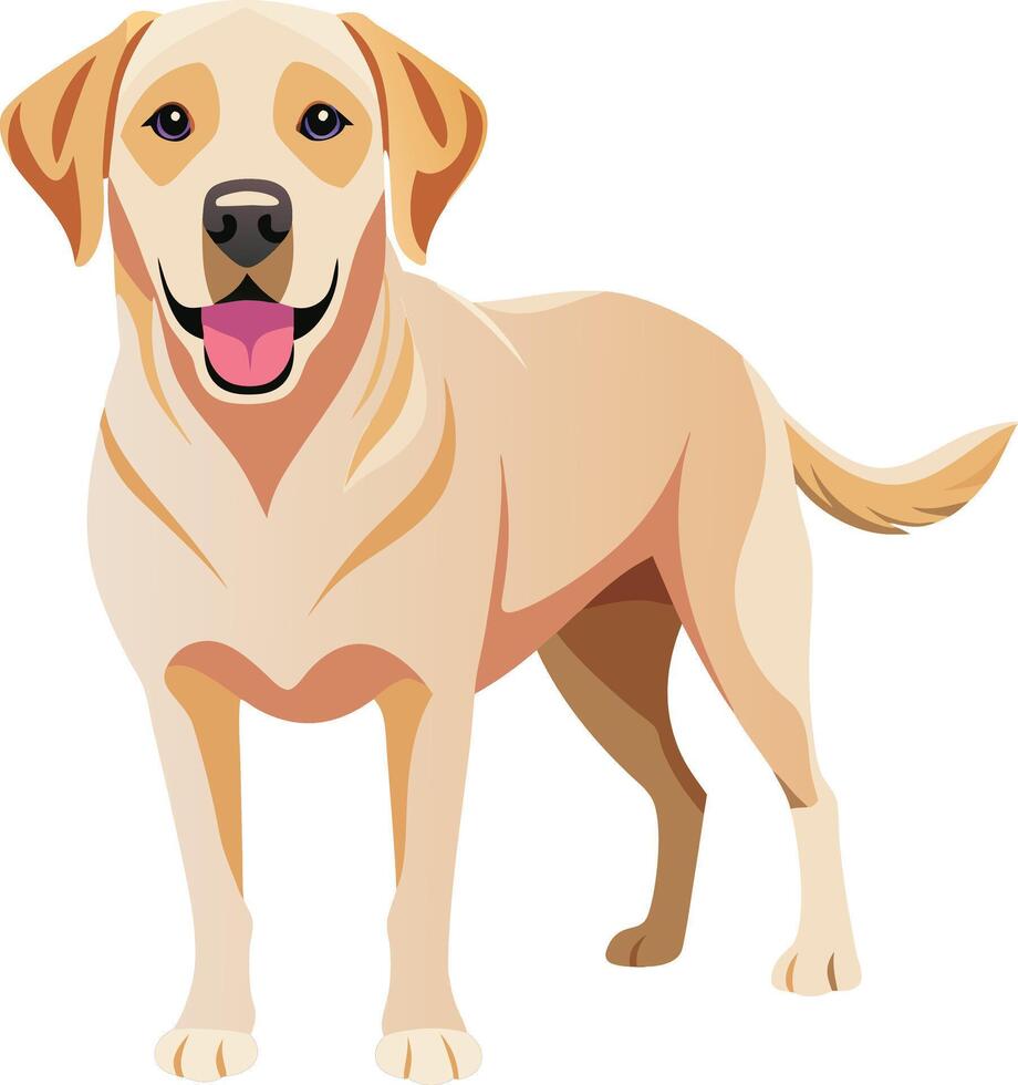 Labrador Retriever Dog style,Clipart , Illustration with white background vector