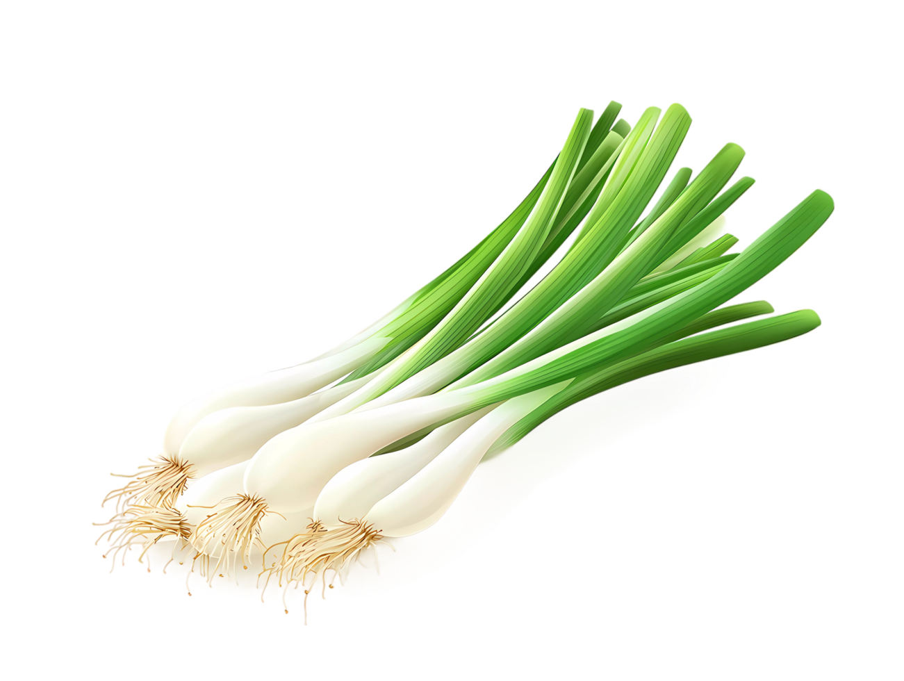 green leek on transparent background png