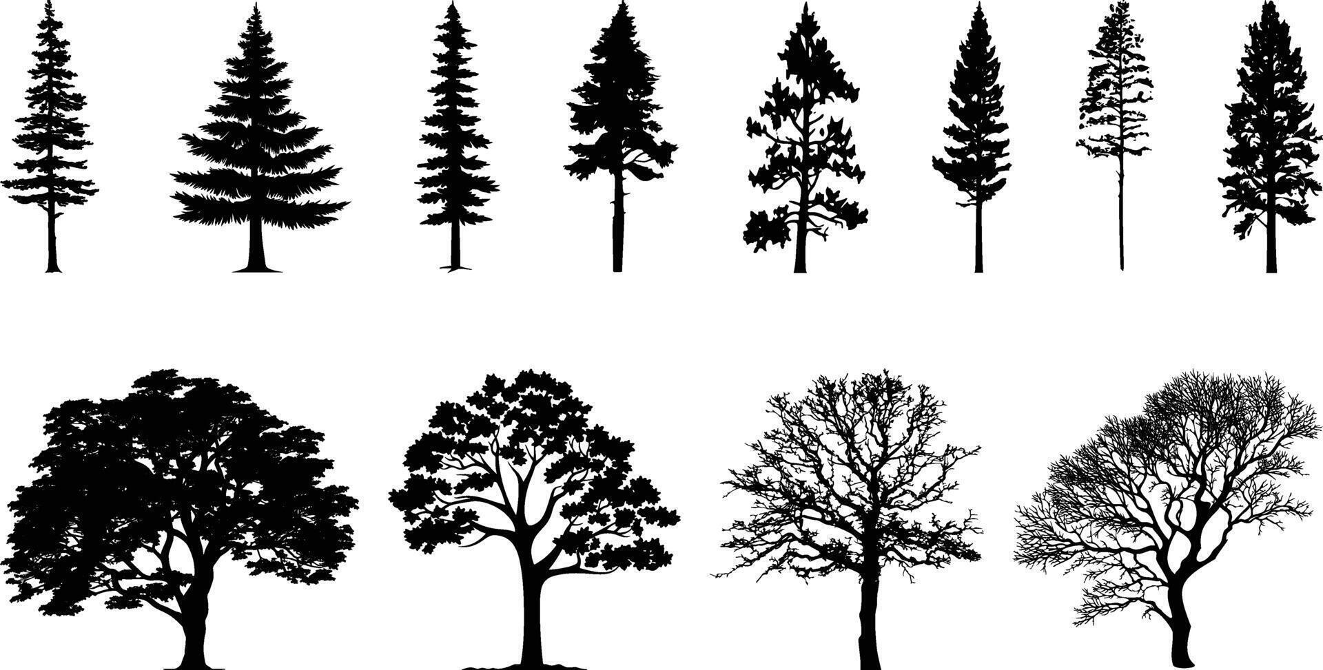 Set of Tree collection vector