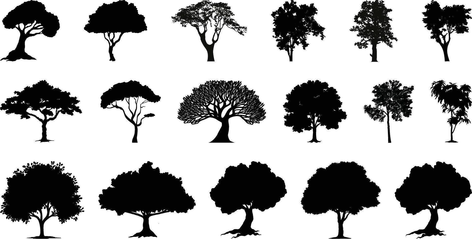 Set of Tree collection vector