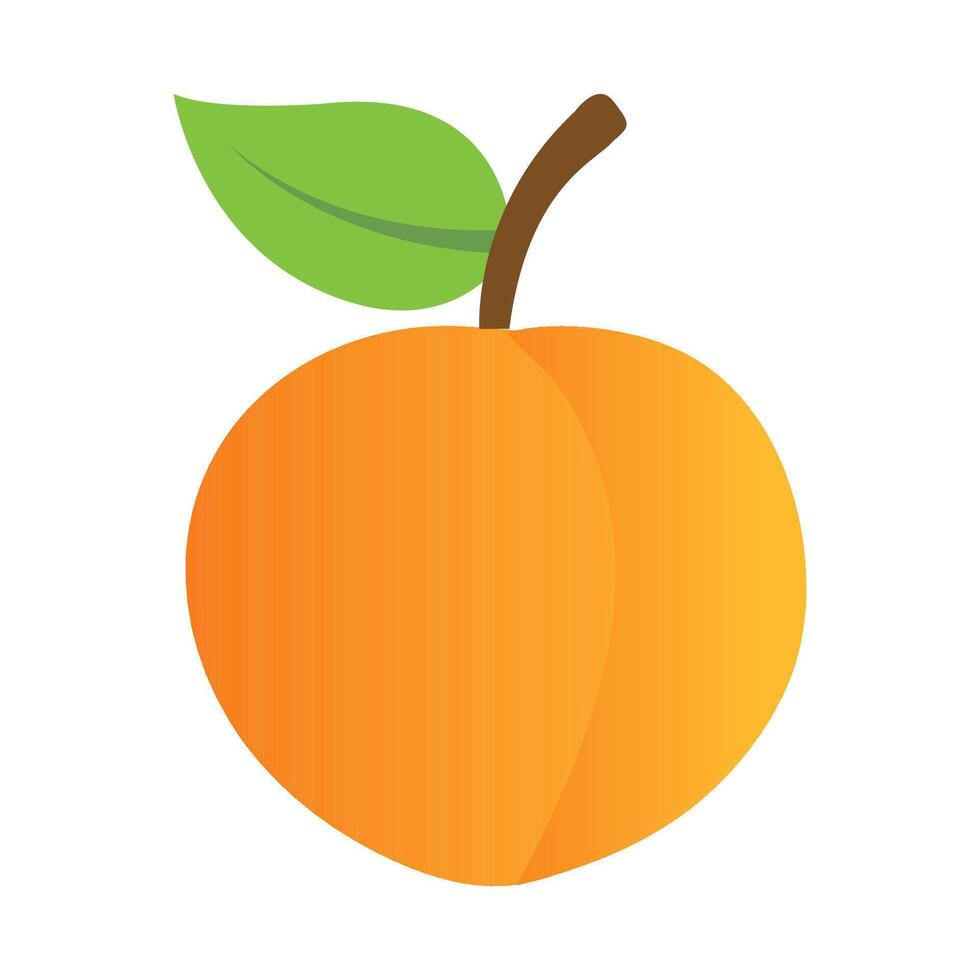 peach isolated on white background vector